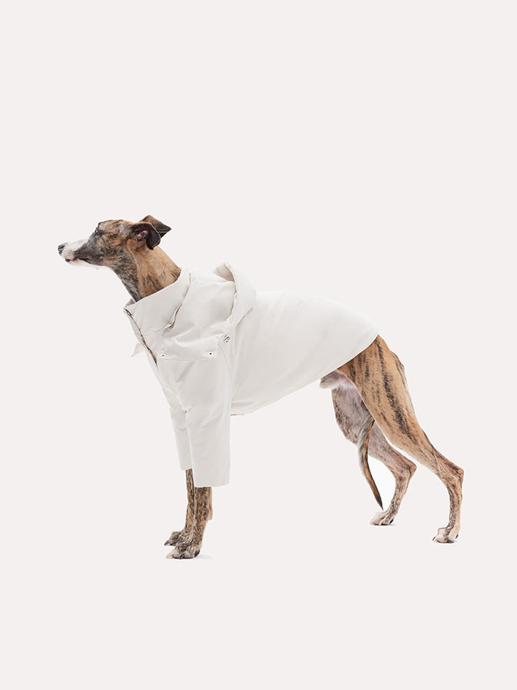 coats for dogs 