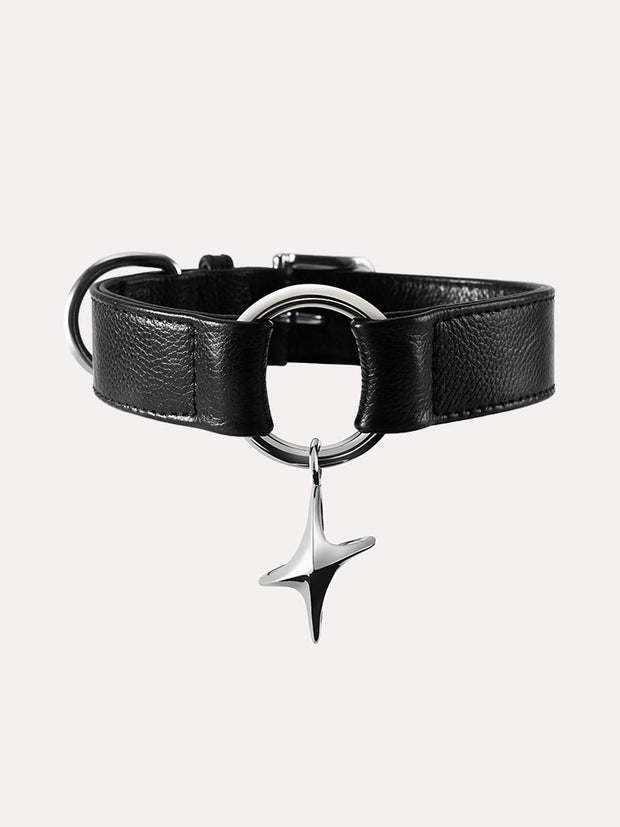 retractable dog leash for large dogs