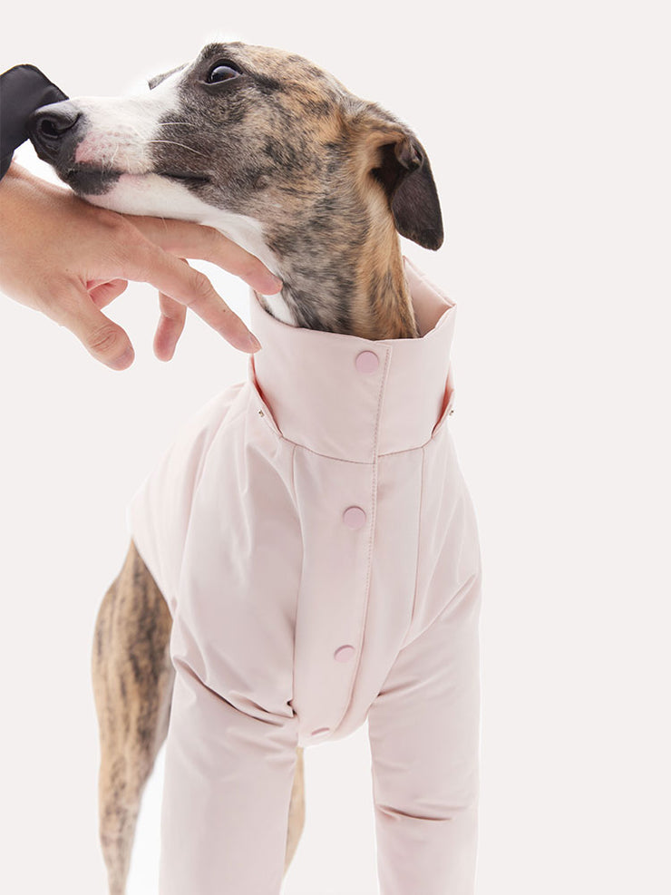 dog down coat