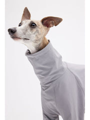 dog body suit