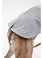 body suit dog 