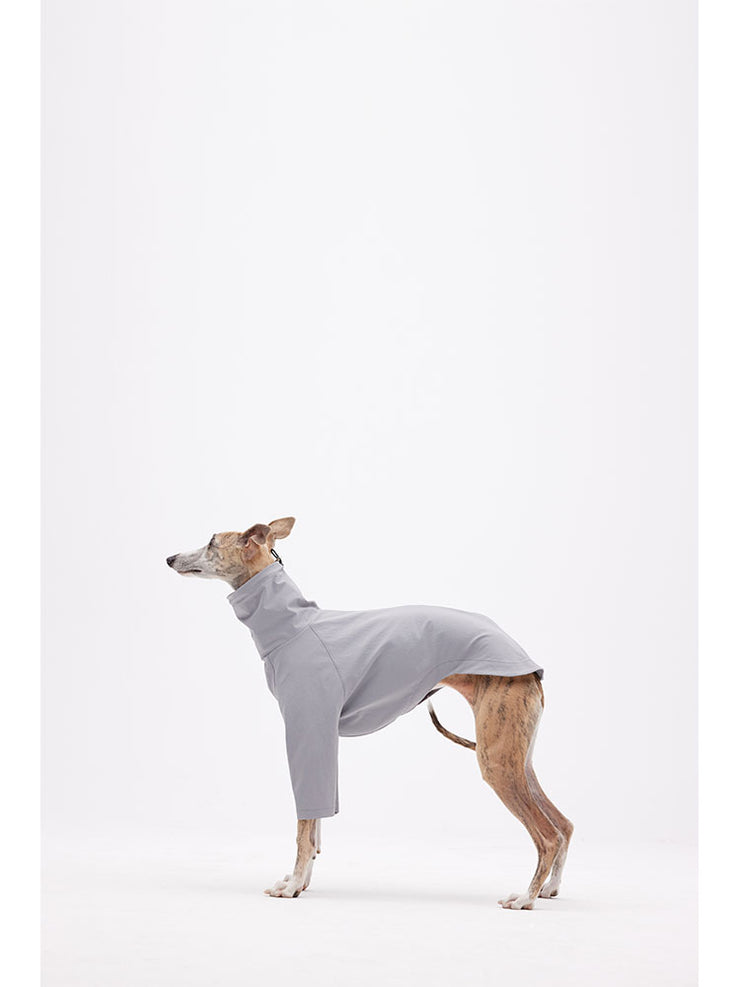body suit for dogs 