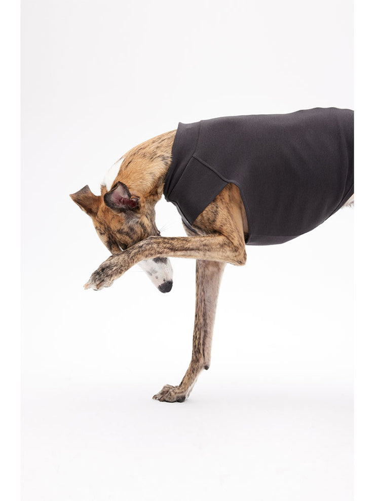 dog calming vest 
