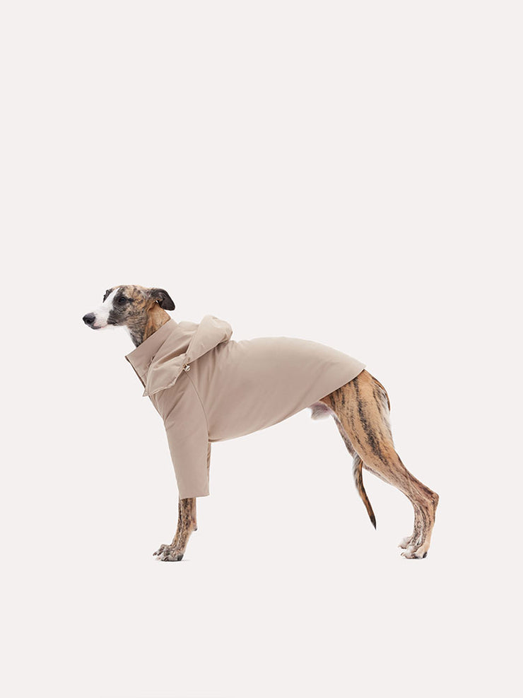 dog coats 
