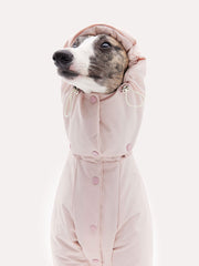 dog down jacket