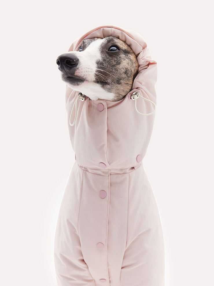 dog down jacket