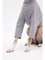 dog full body suit
