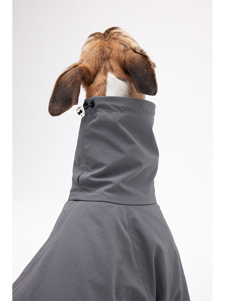 dog full body 