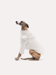 Dogs white coat
