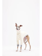 dog jumper