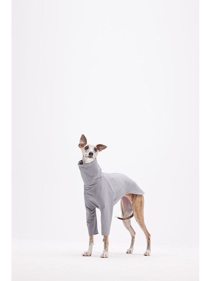 dog suit 