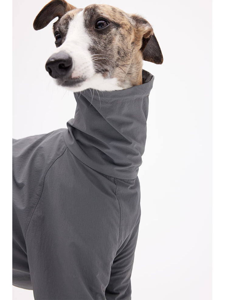 dog skin suit 