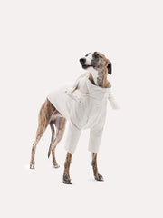 dog winter coat 