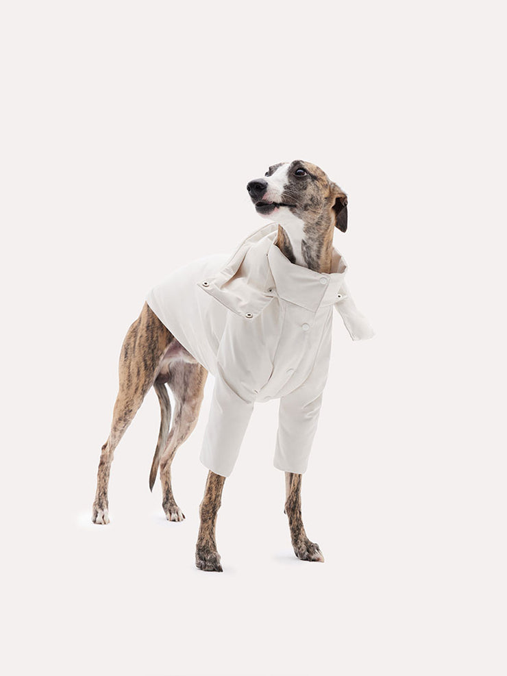 dog winter coat 