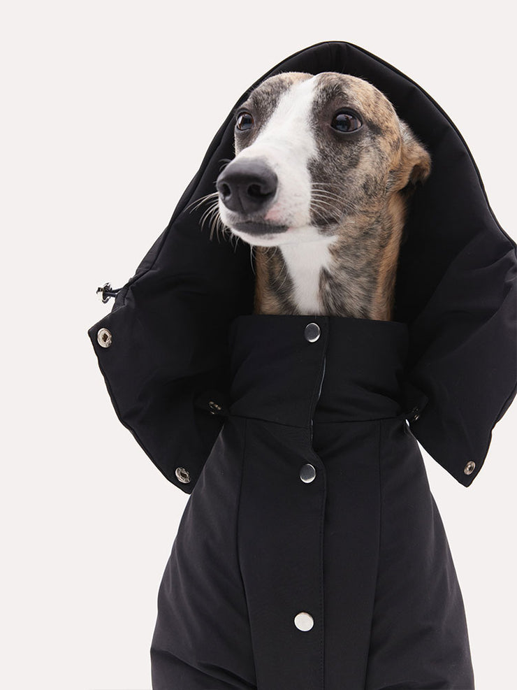 dog down jacket