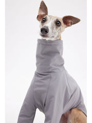 full body dog suit with feet