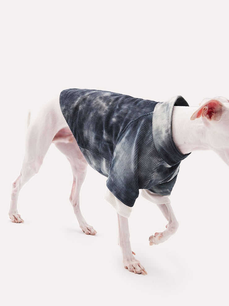 italian greyhound temperament