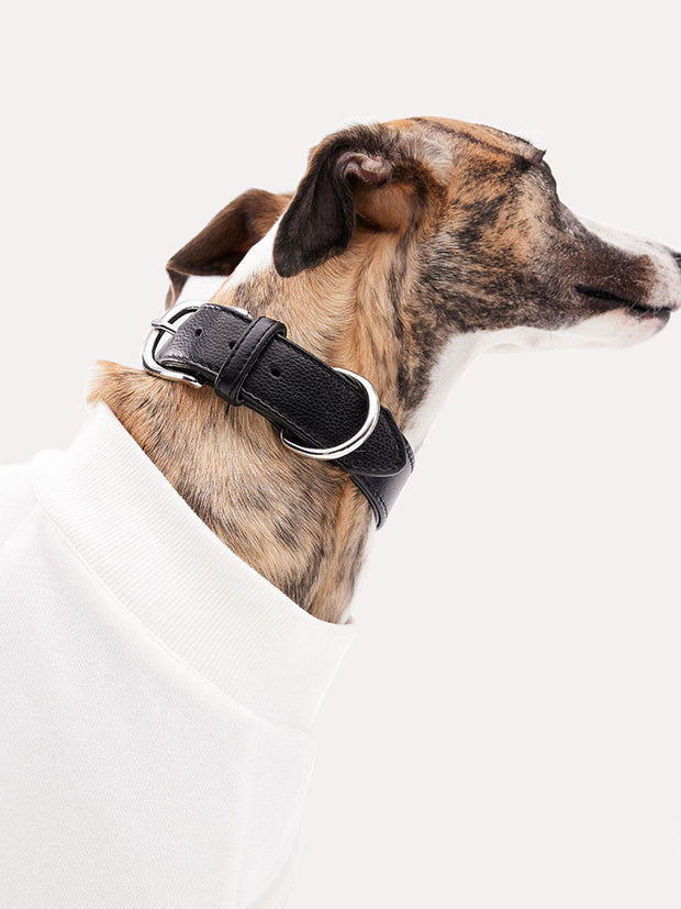 best dog leash for large dogs