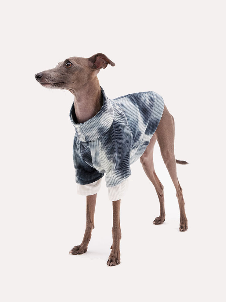 Corduroy dog sweatshirt