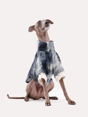 Italian Greyhound Sweater