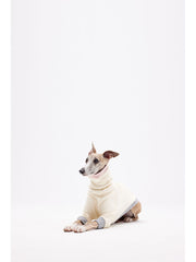 large dog jumpers