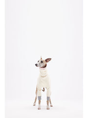large dog sweaters