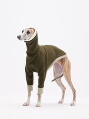 dark green puppy outfits