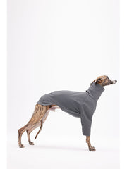 quick dry clothing dogs