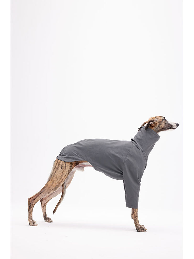 quick dry clothing dogs