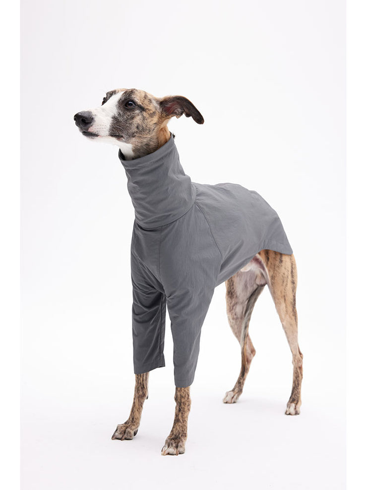 spandex dog suit