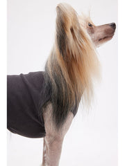 dog vest Dark Grey