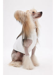 whippet vest