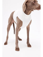 large dog vest xxl