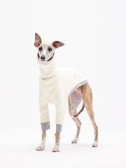 xxxl dog sweater